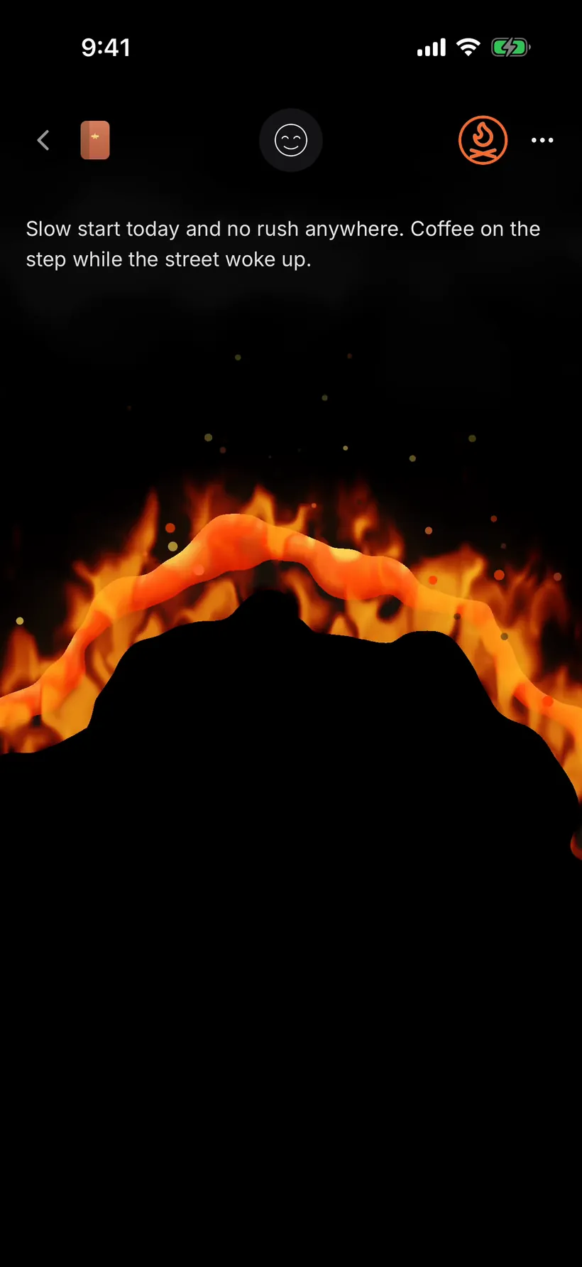 An entry being consumed by flame as it is permanently destroyed